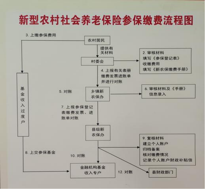 抚州农村医保和社保有什么区别(农村医保跟社保的区别)